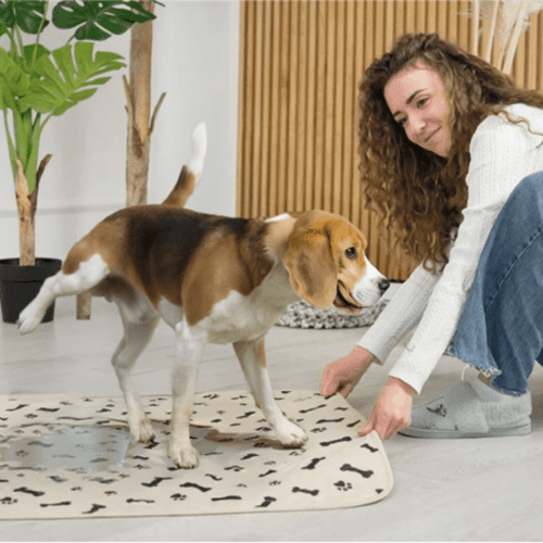 Furthrive Pads (Official Retailer) [year]